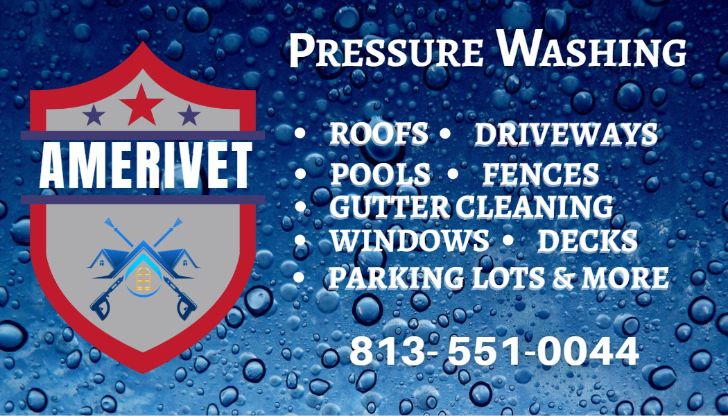 Avatar for Amerivet Exterior Cleaning