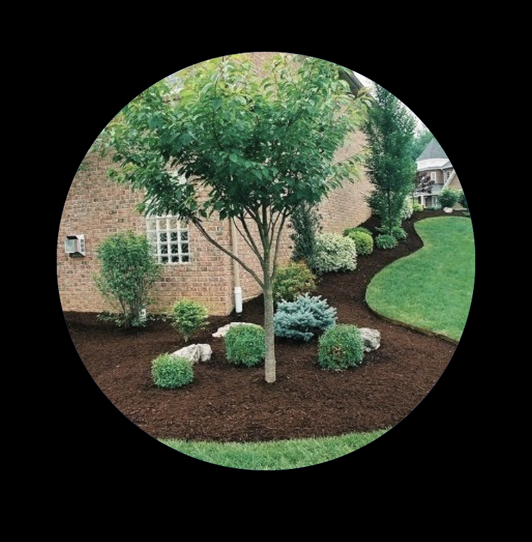 Avatar for Hernandez Lawn Service