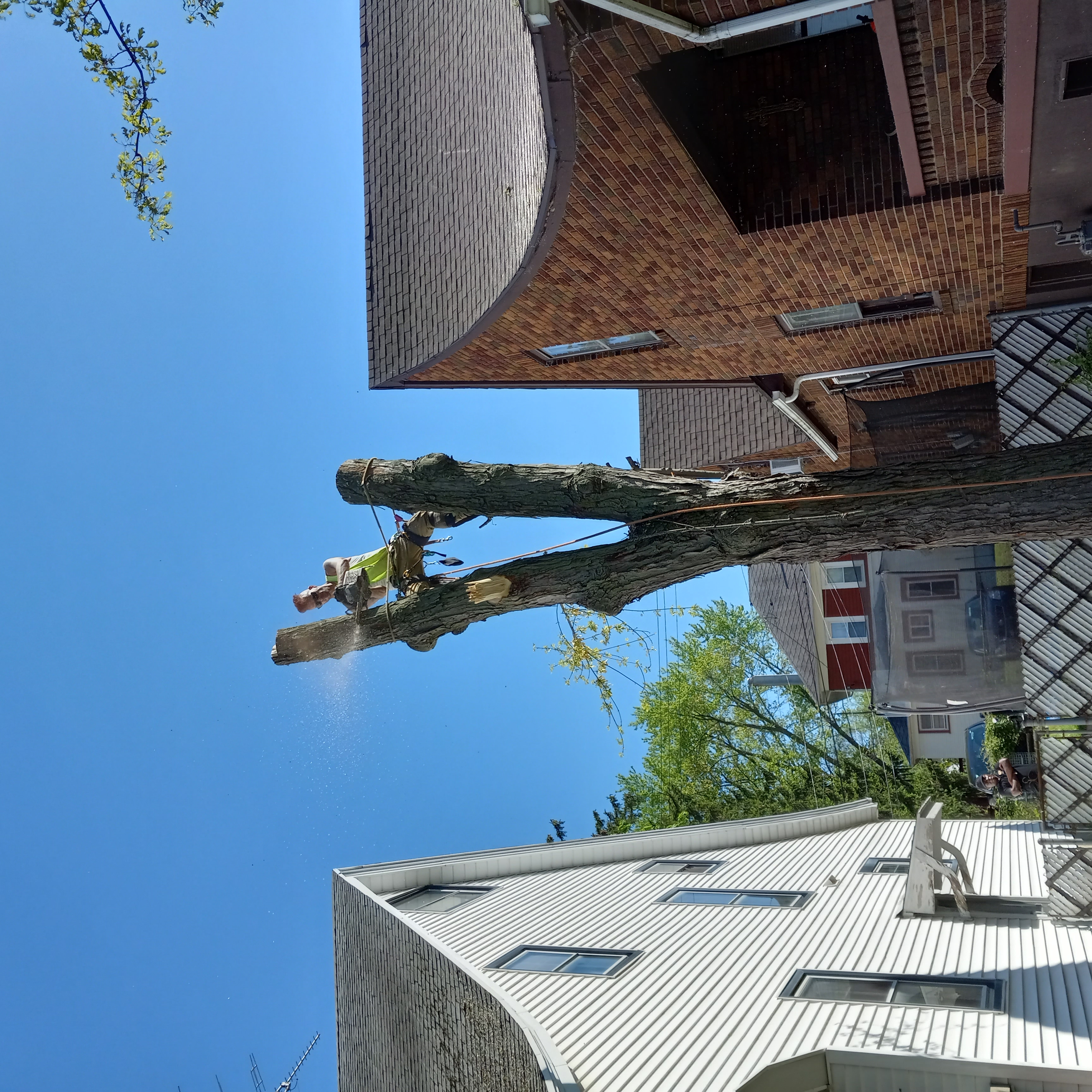 Avatar for J&j tree experts llc