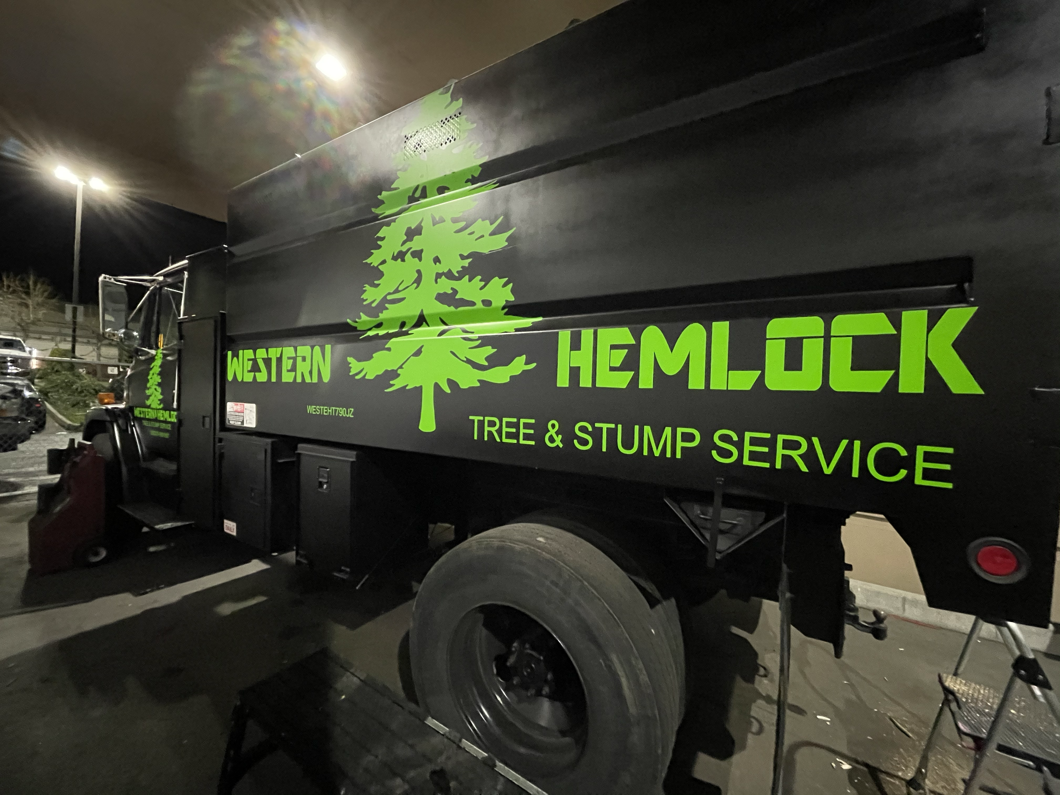 Logo for Western Hemlock Tree Service
