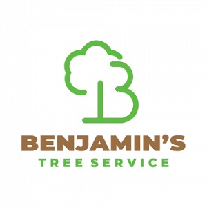 Logo for Benjamin's Tree Service
