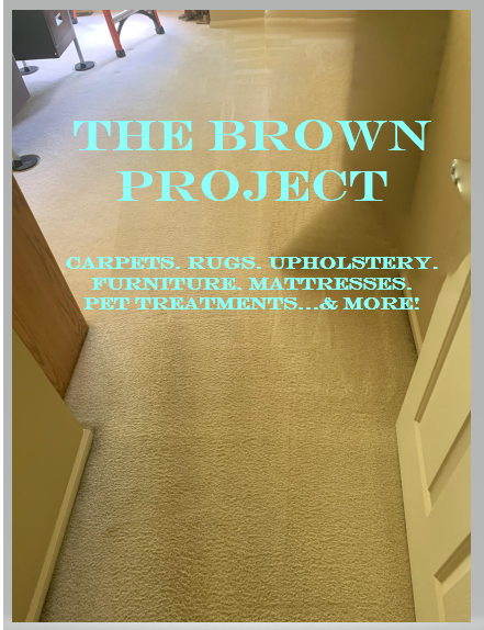 Logo for The Brown Project