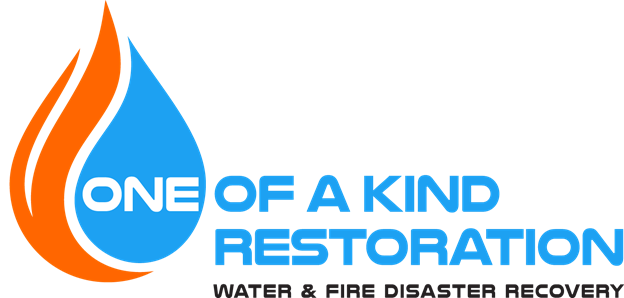 Logo for One of a Kind Restoration