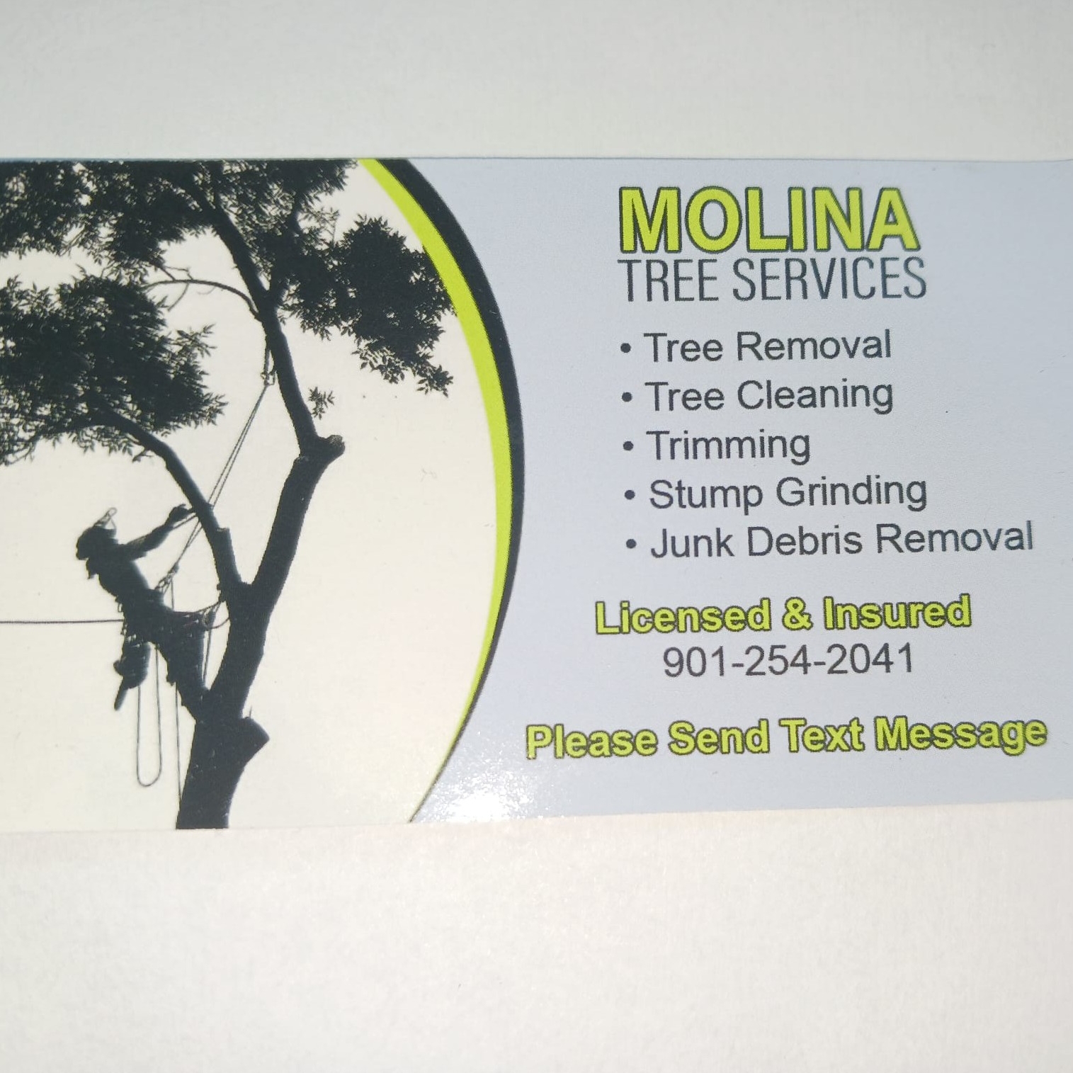 Avatar for Molina Tree Services