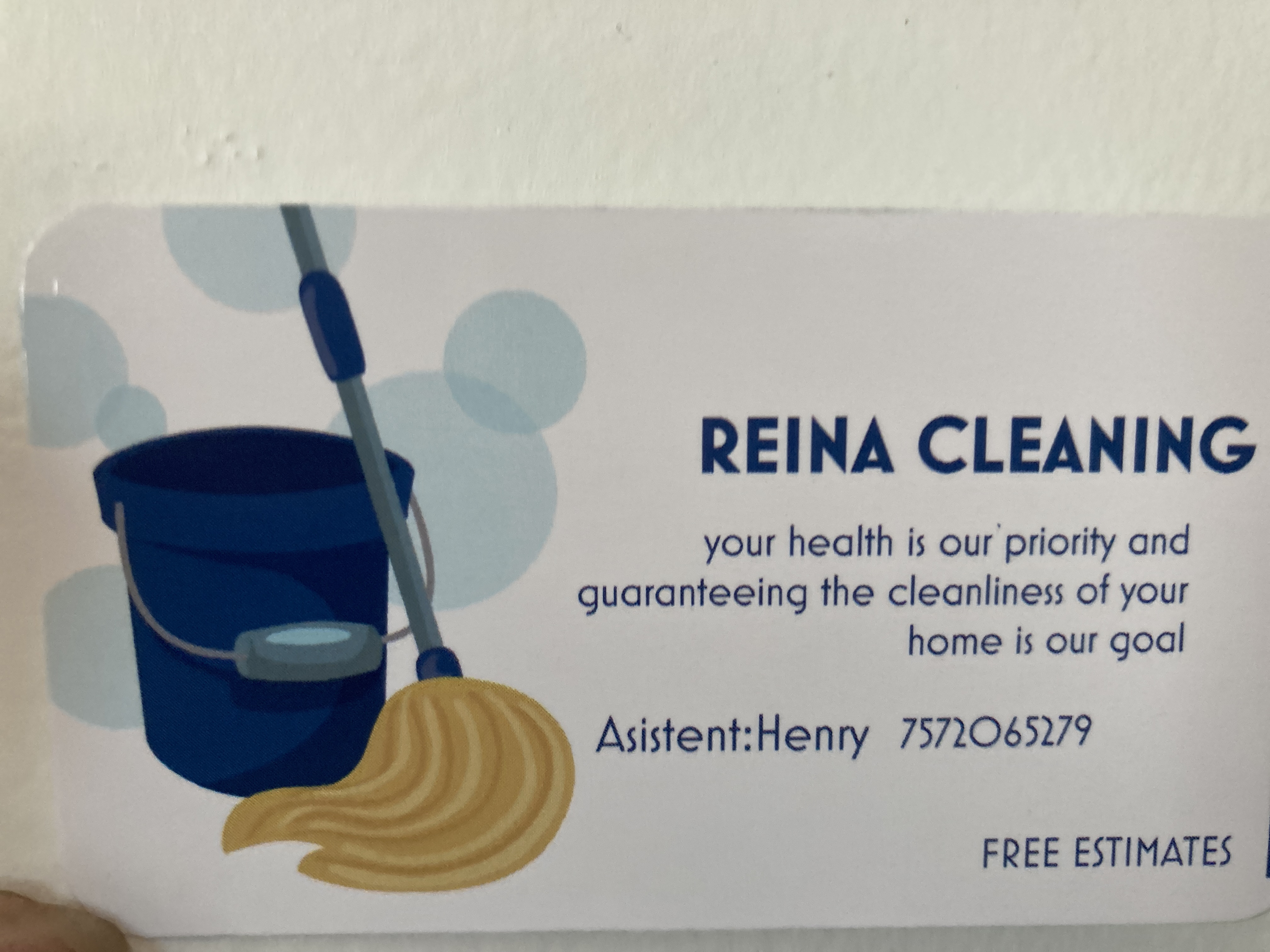 REINA CLEANING logo