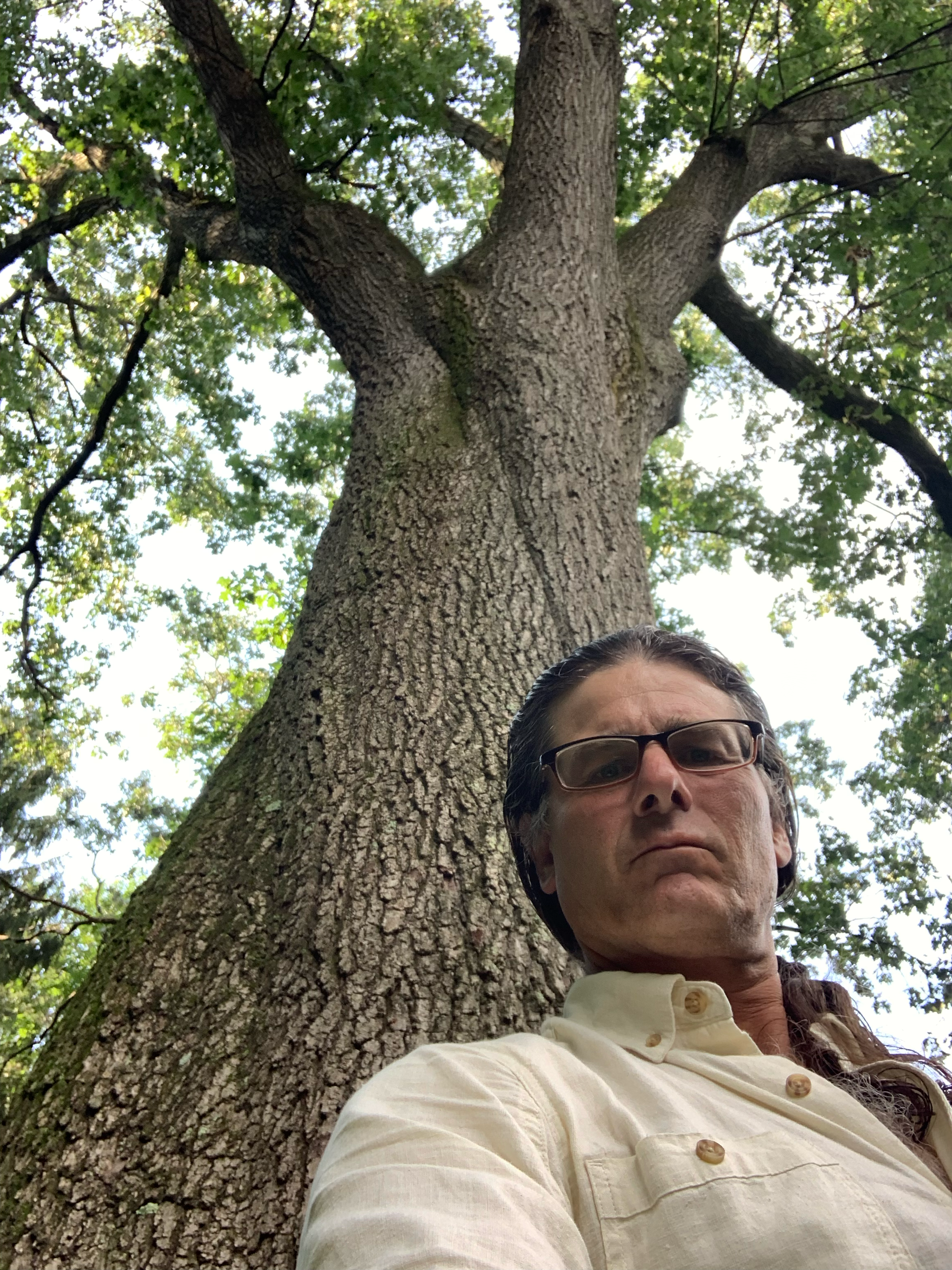 Avatar for MD Tree Surgery