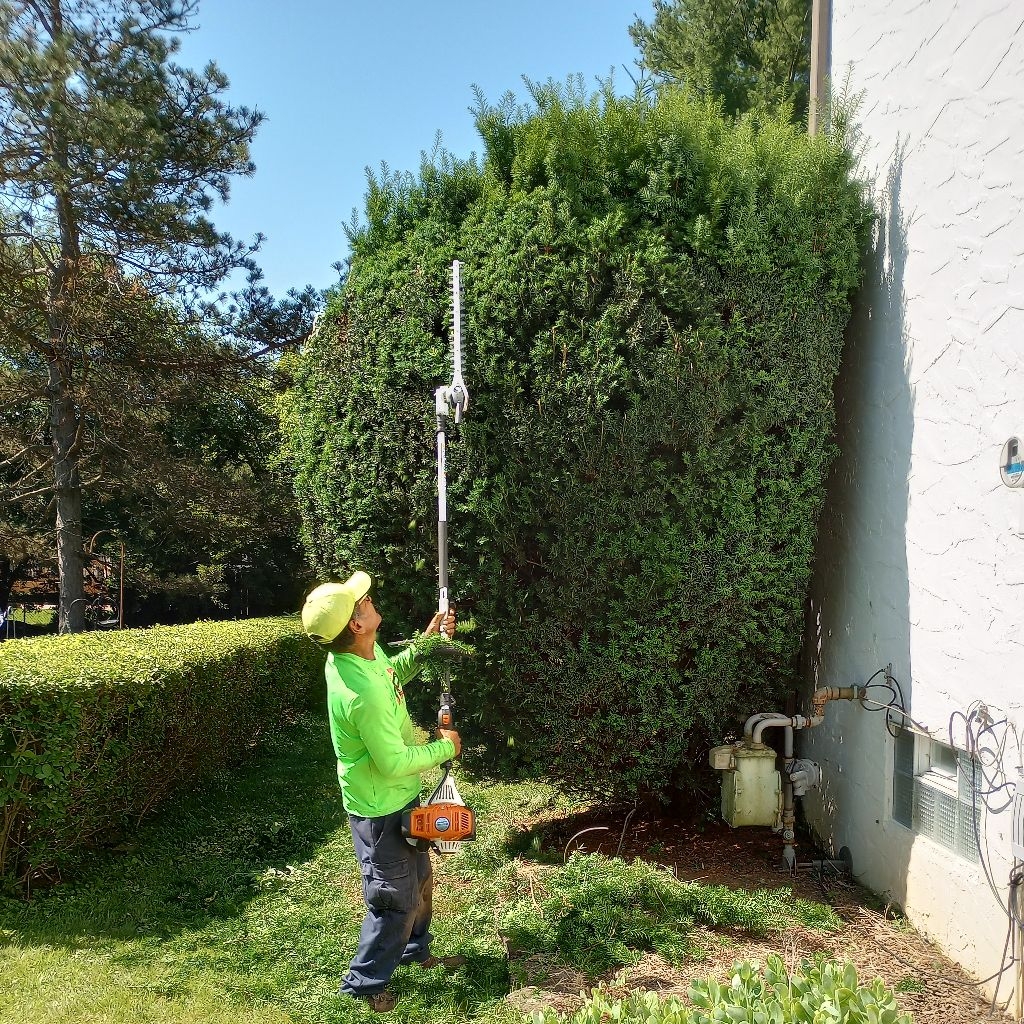 Avatar for New Day Landscaping and Multi-service LLC.