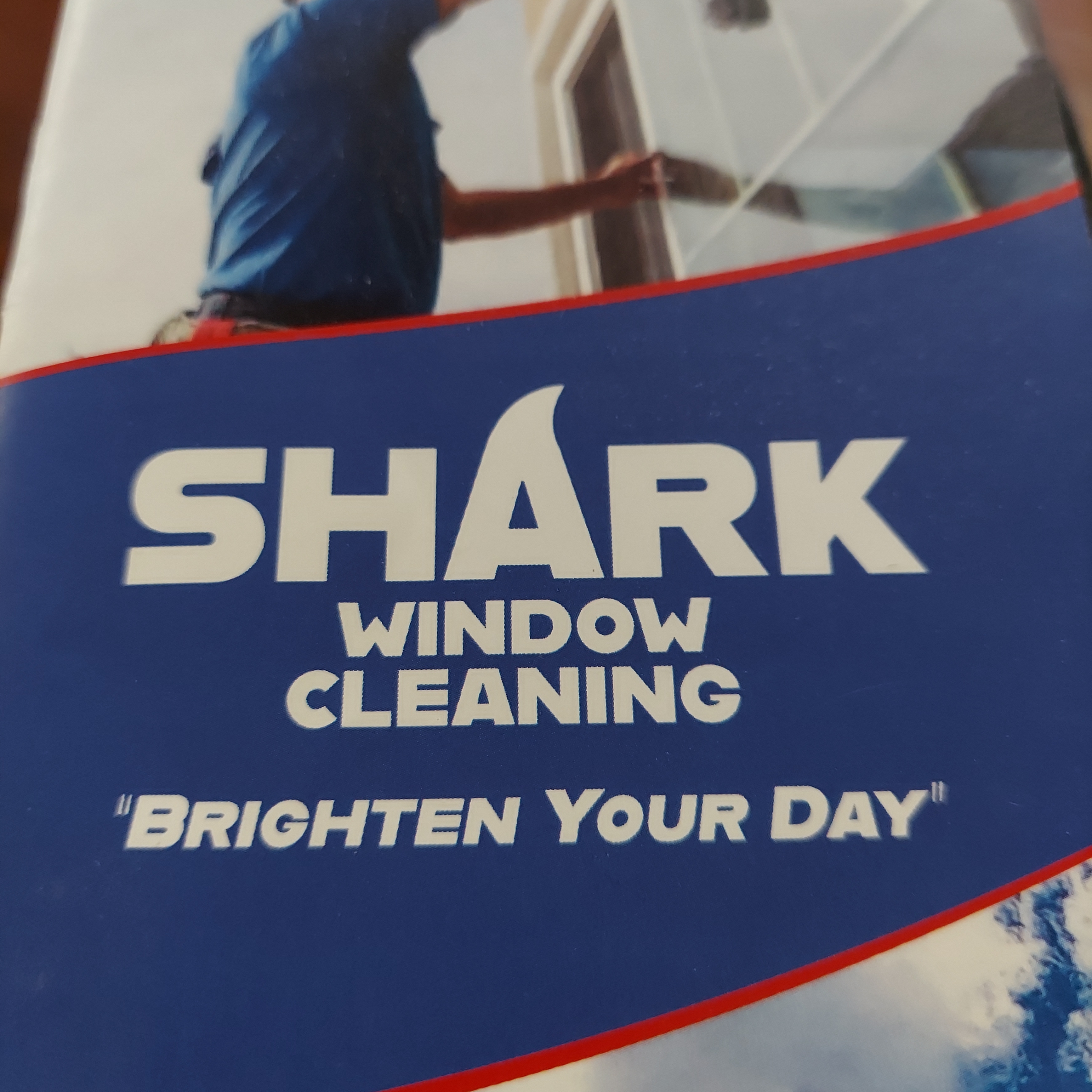 Shark Window Cleaning logo