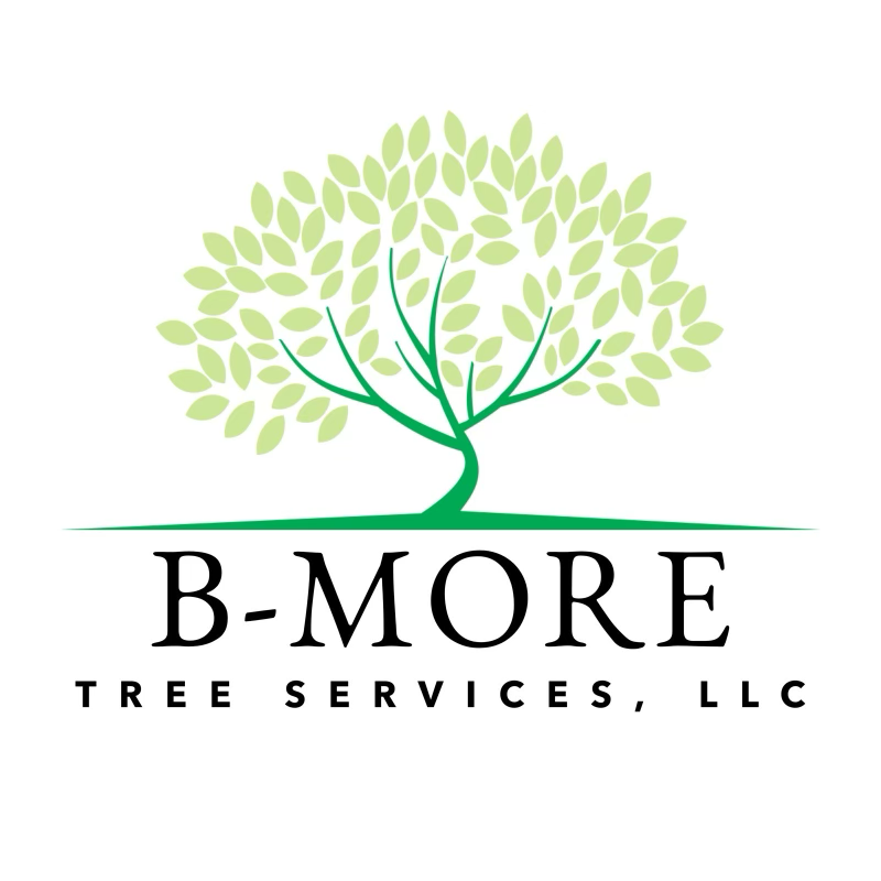 B-More Tree Services, LLC logo