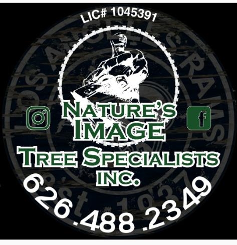 Nature's Image Tree Specialists Inc. logo