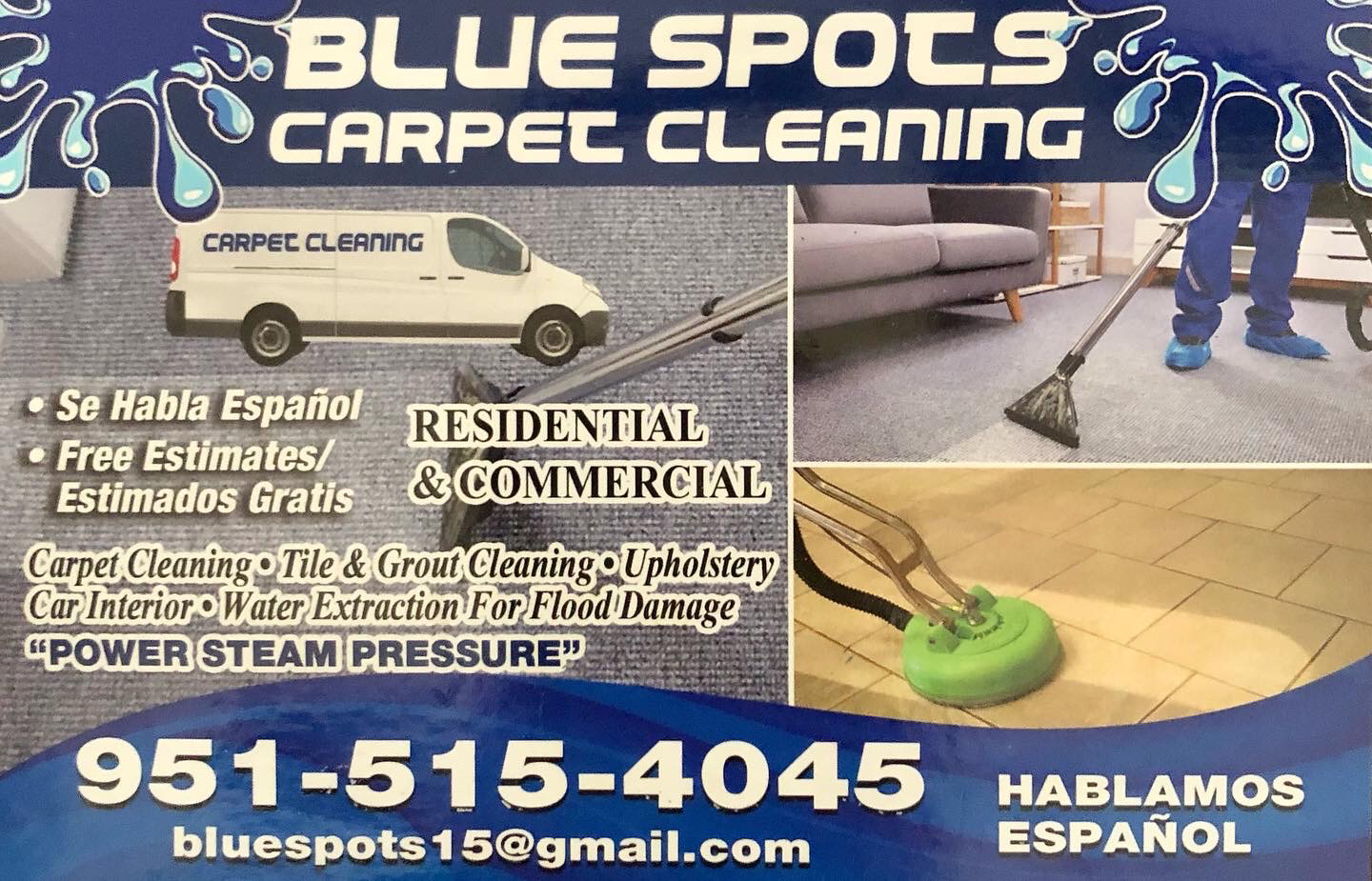 Blue Spot Carpet Cleaning logo
