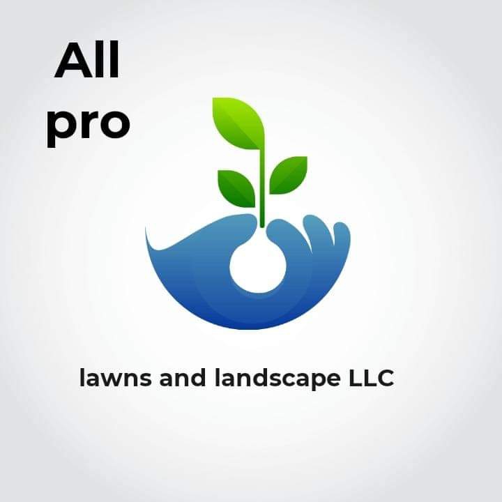 Avatar for All Pro Lawn and Landscaping LLC