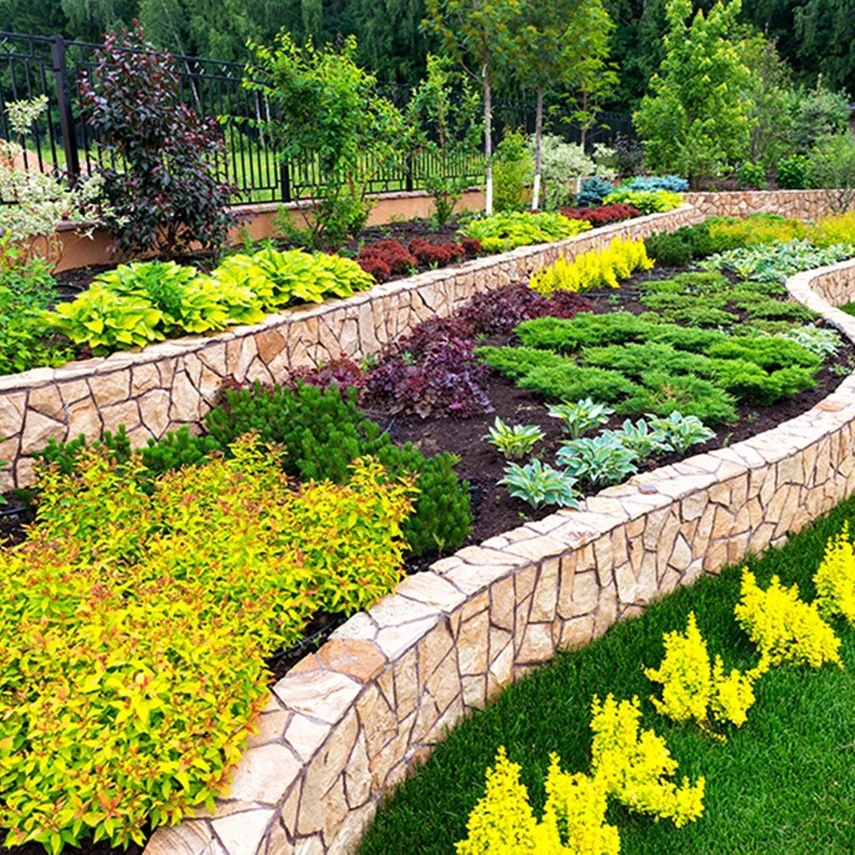 Avatar for David's Landscaping