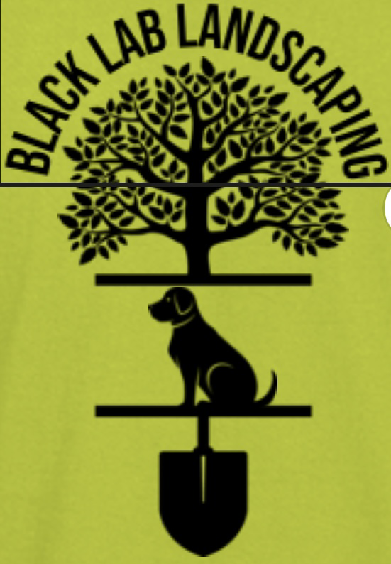 Avatar for Black Lab Landscapes & Contacting Co.