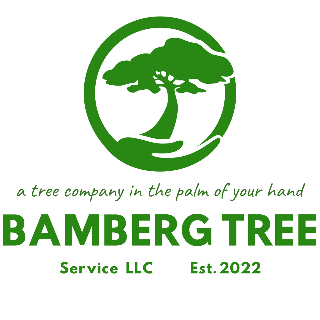 Logo for Bamberg Tree Service