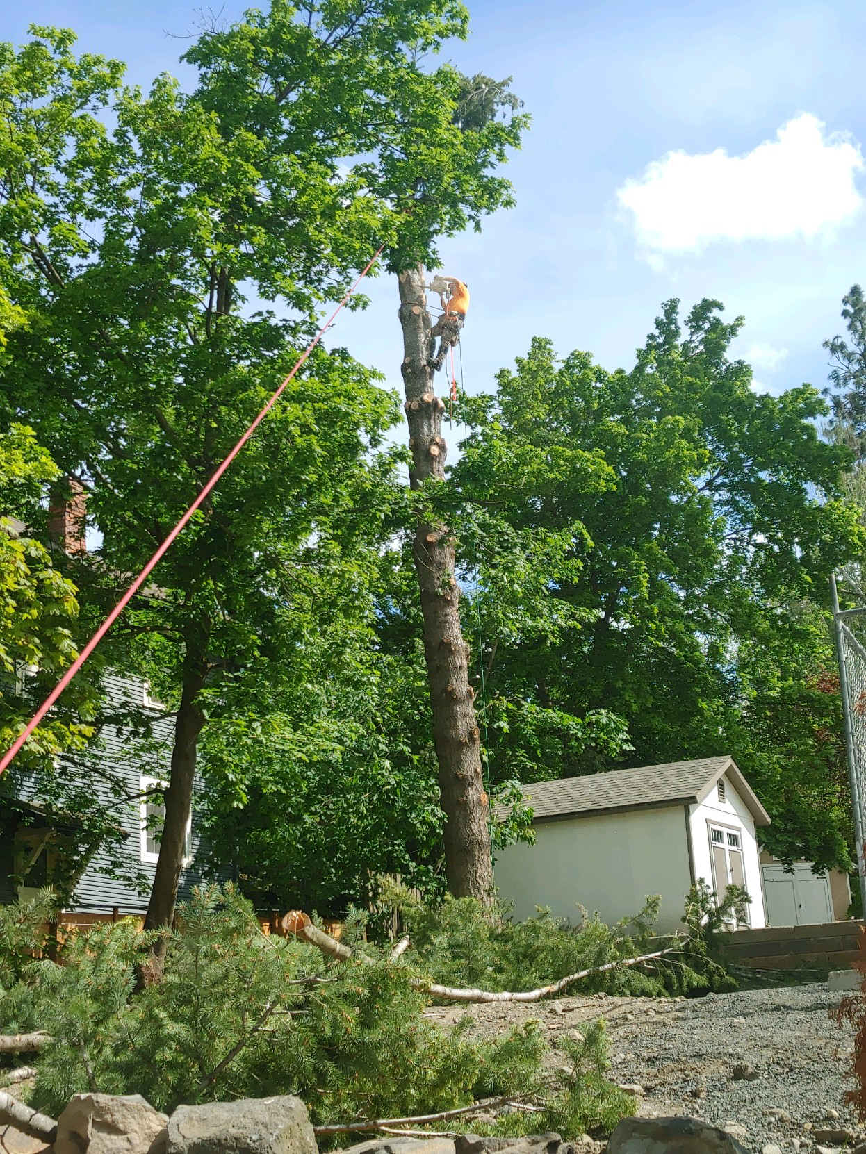 Logo for Aaron's Tree Service