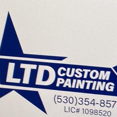 Avatar for LTD. Custom Painting