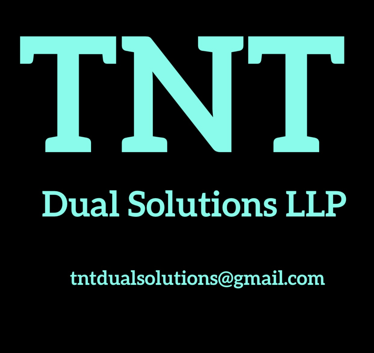 TNT Dual Solutions logo