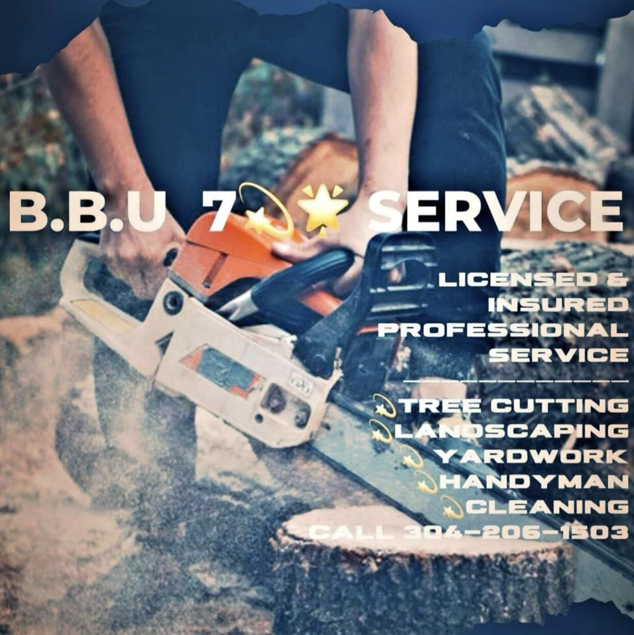 Avatar for BBU 7 Star Services