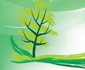 Avatar for New Creations Lawn and Landscaping