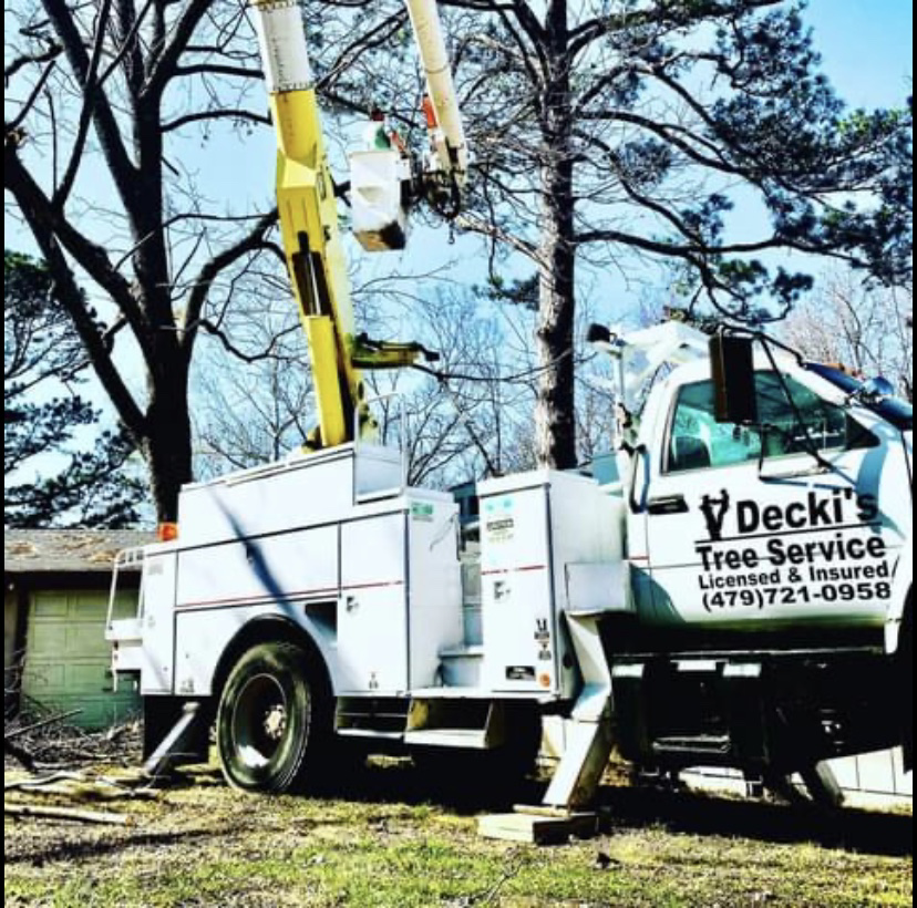 Avatar for Deckis Tree Service LLC