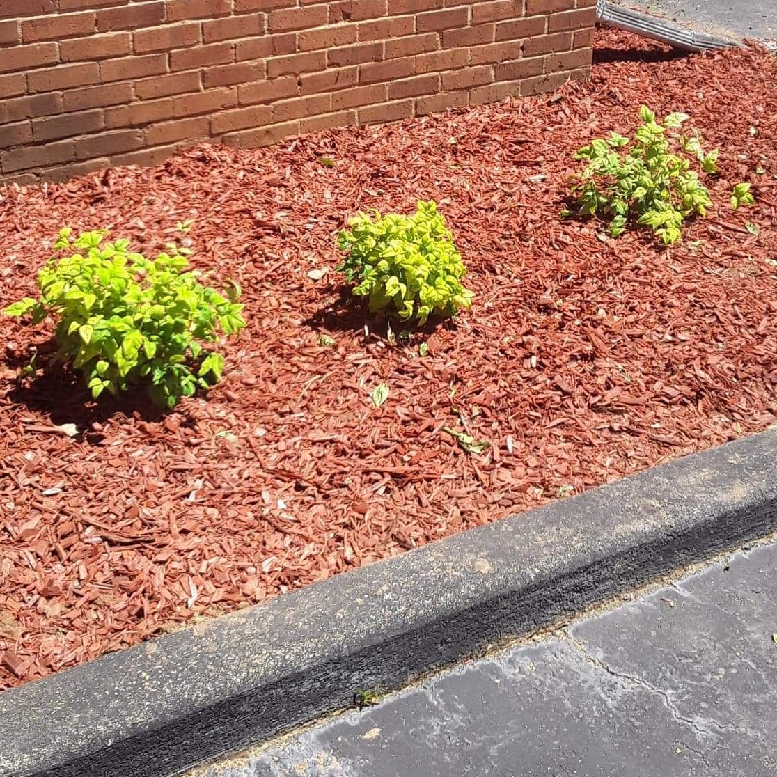 Avatar for C&N landscaping and more