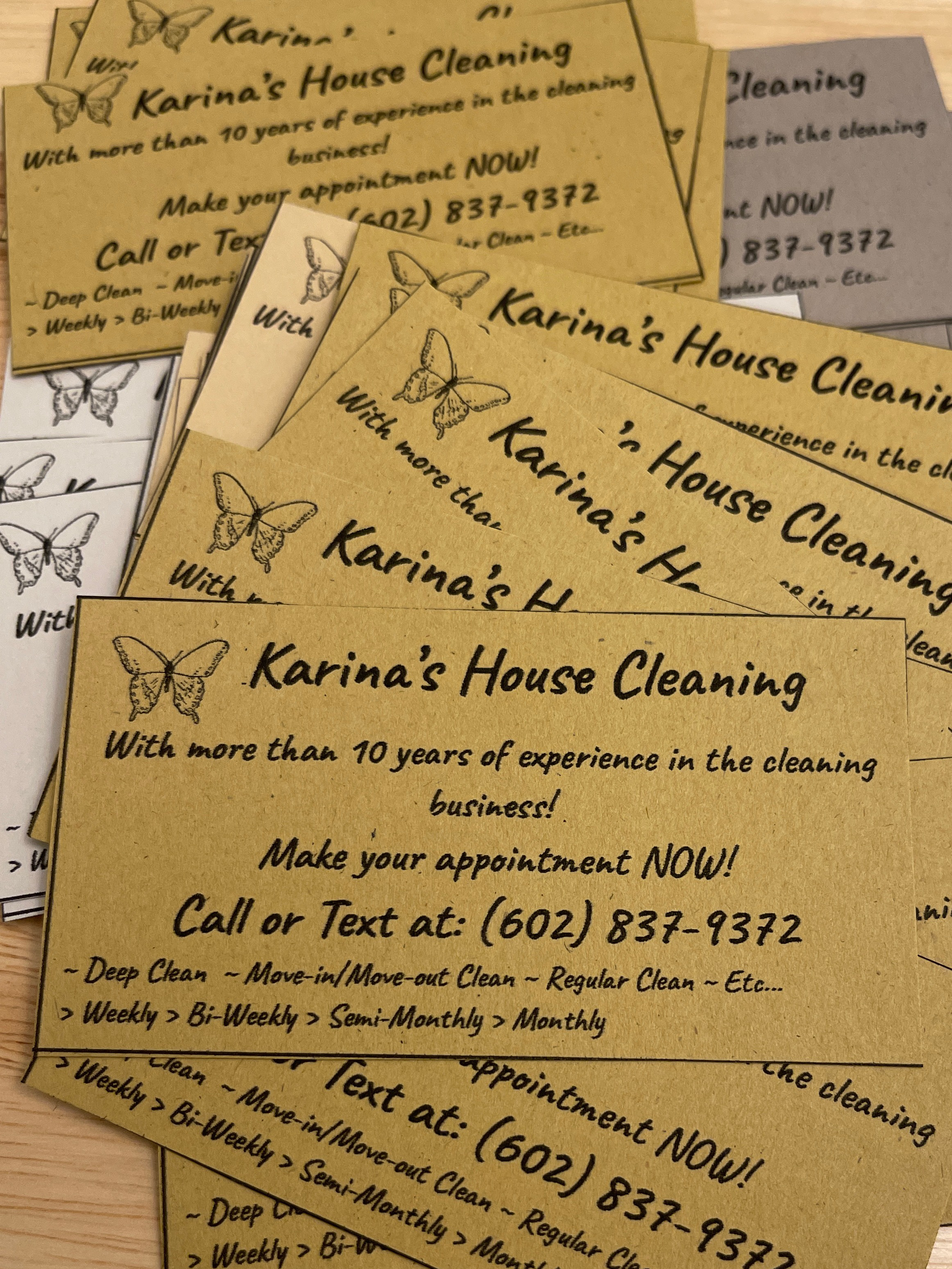 Karina House Cleaning logo