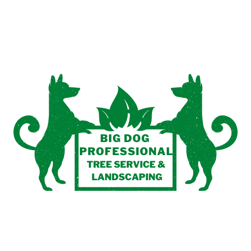 Logo for Big Dog Professional Landscaping & Maintenance