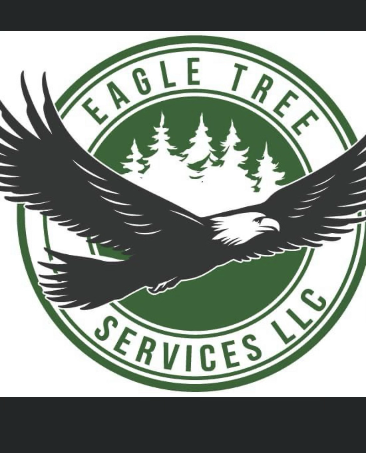 Avatar for Eagle Tree Service