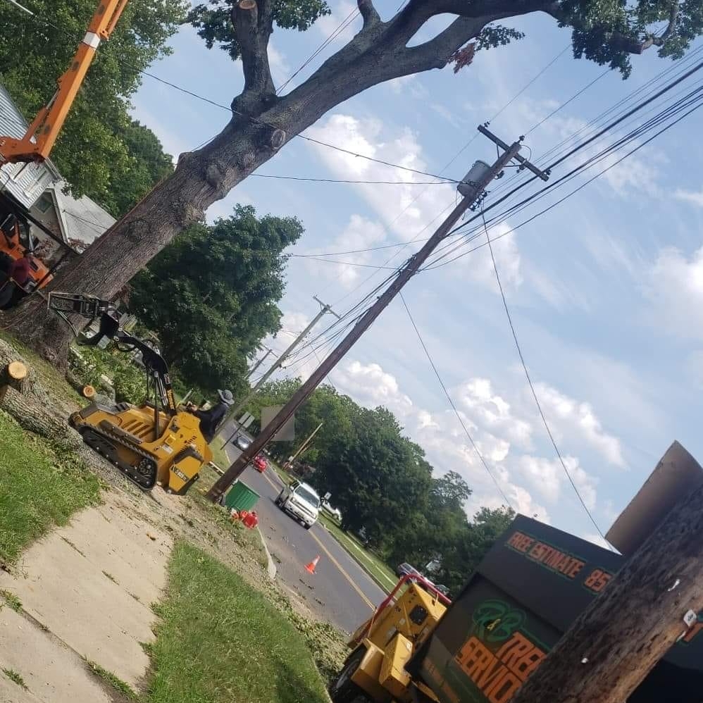 Avatar for R&B Tree Services