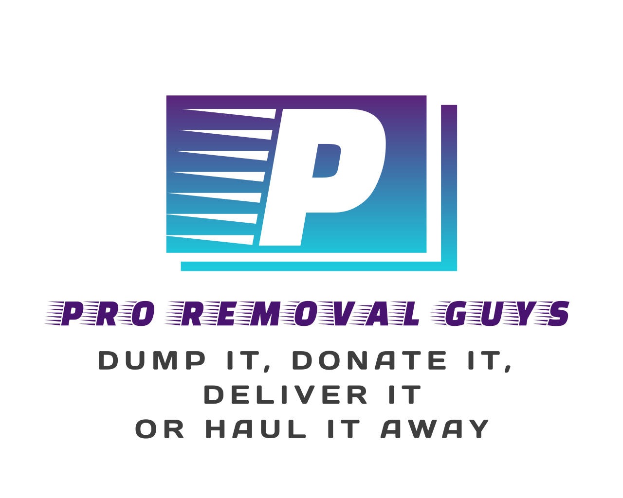 Pro Removal Guys logo