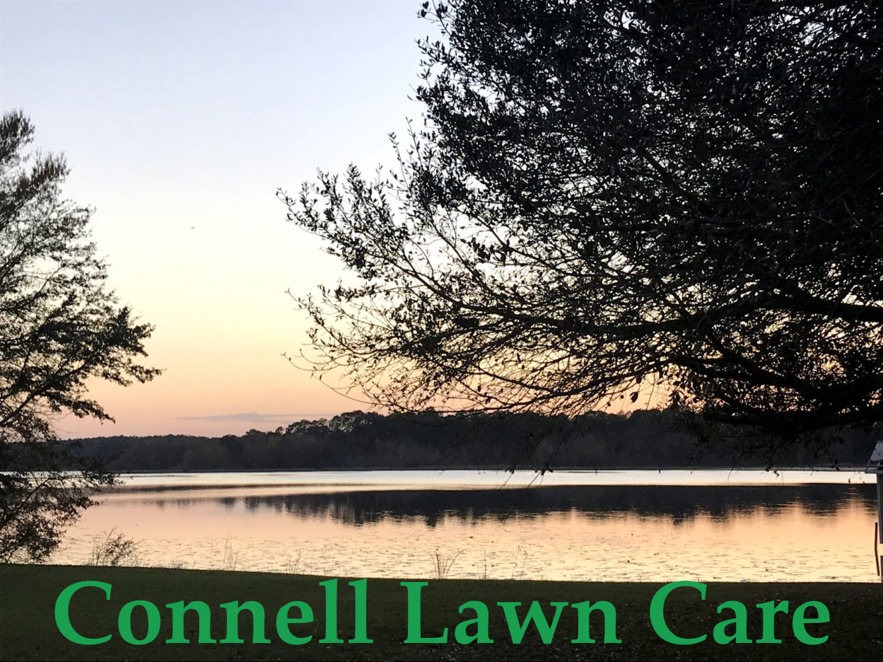 Logo for Connell Lawn Care