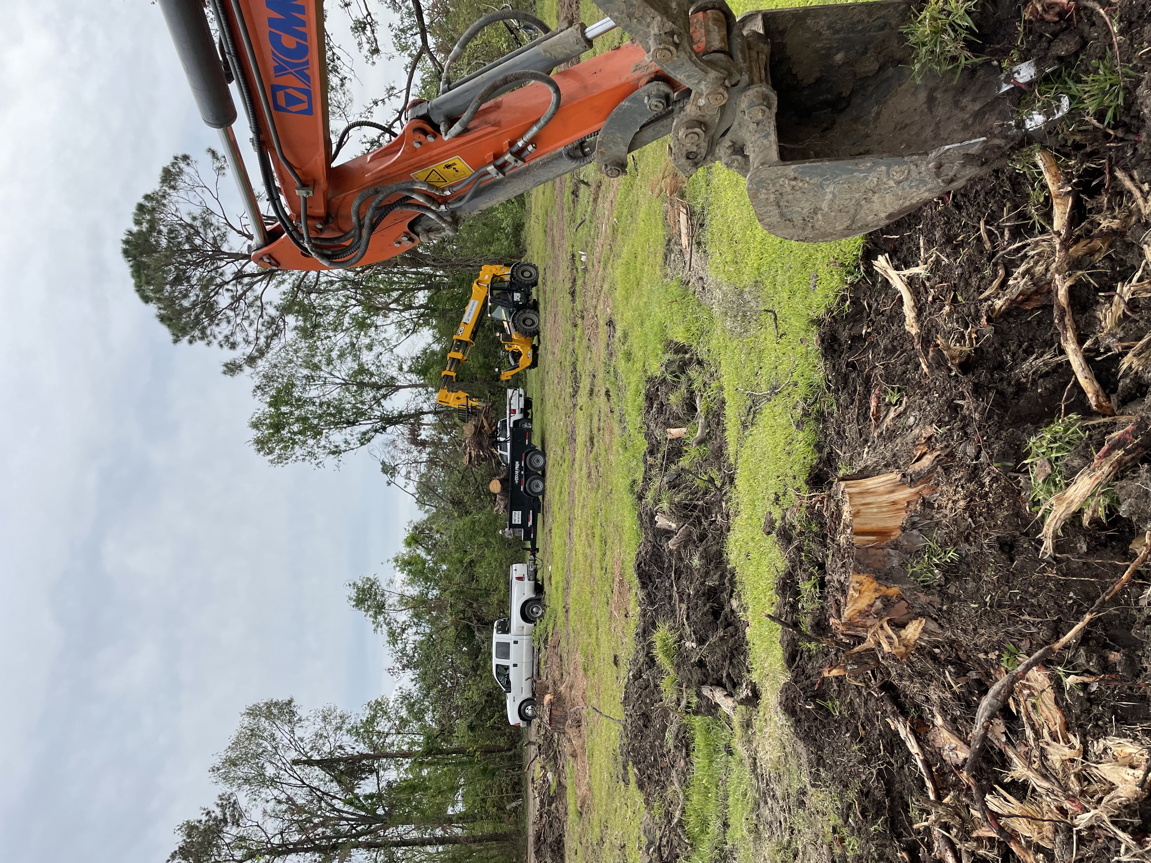 Holland Construction Services logo