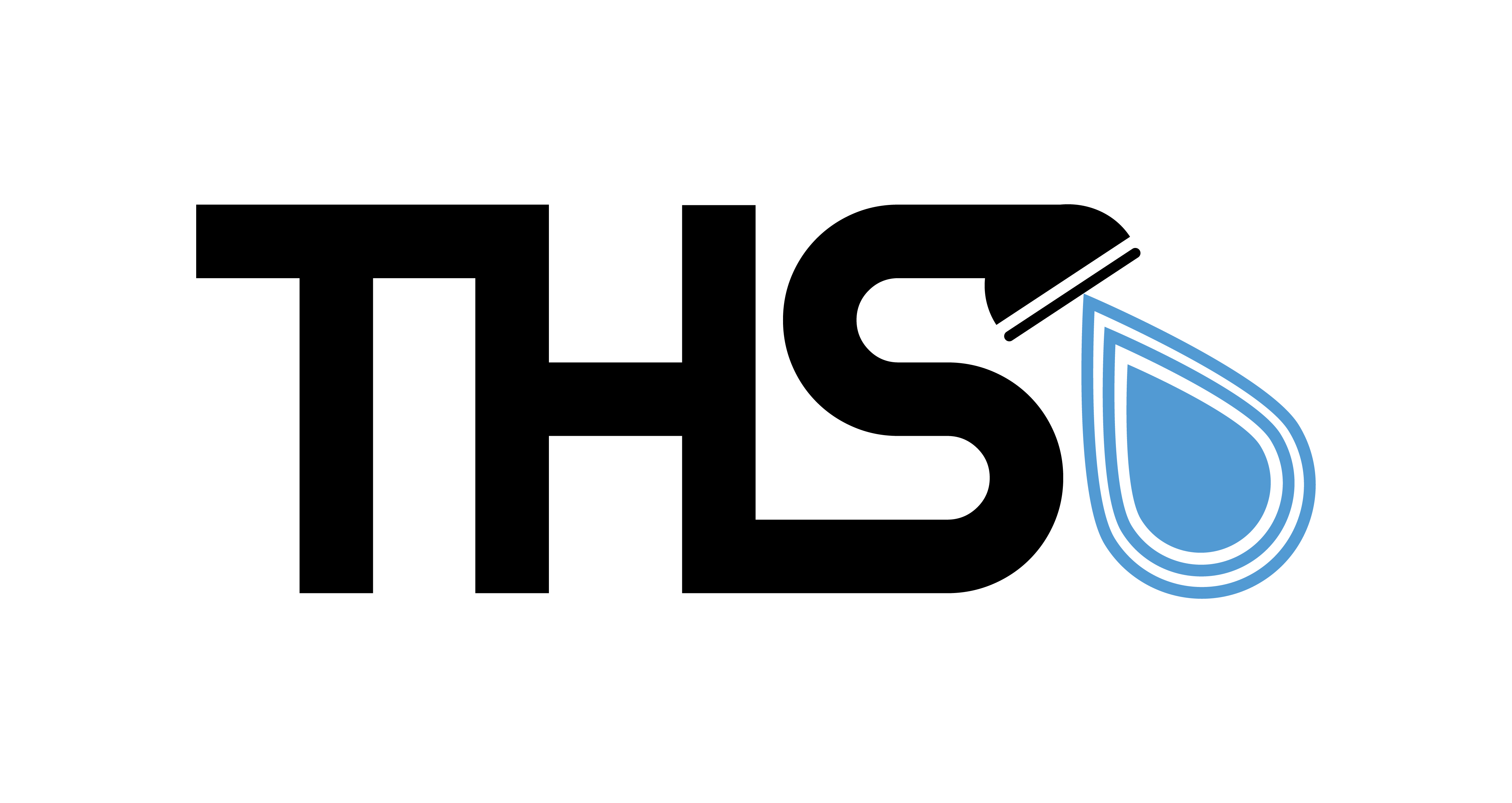 Transcendent Home Solutions logo