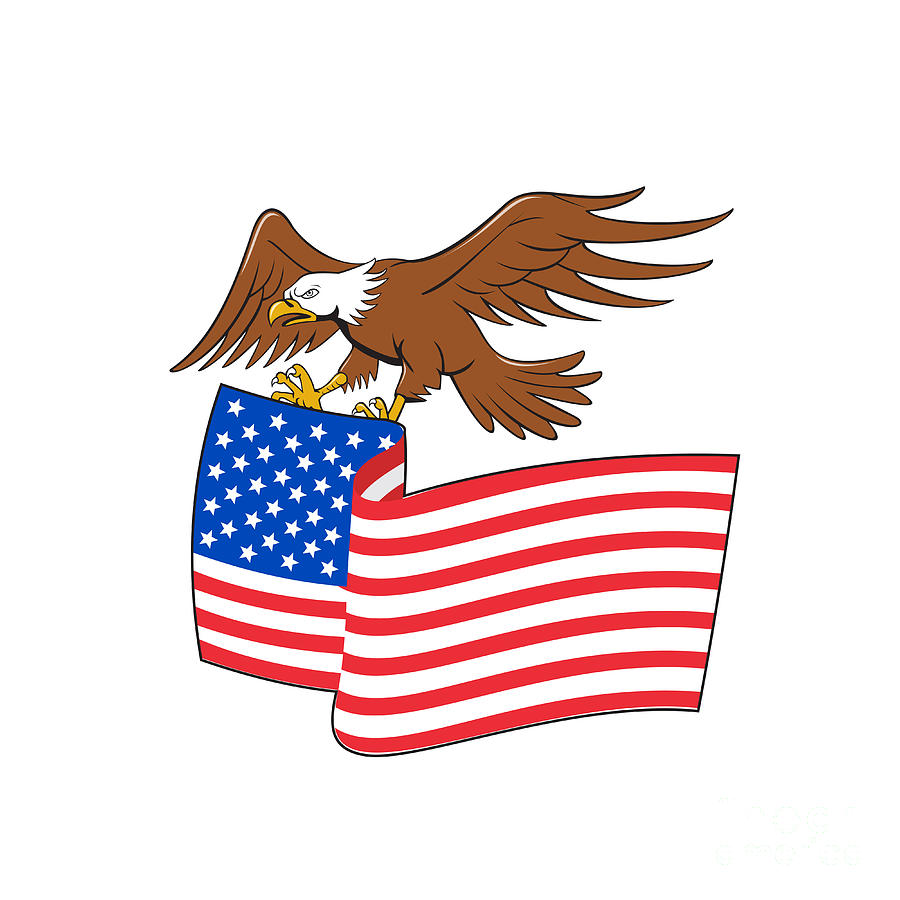 Avatar for All American Exterior Cleaning
