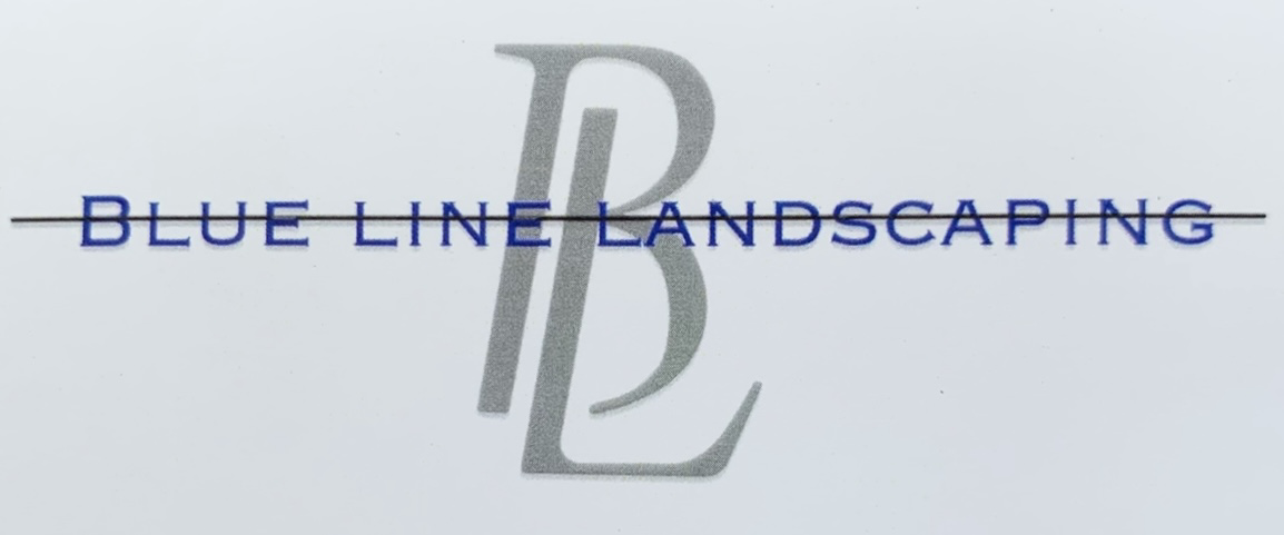 Avatar for Blue Line Landscaping