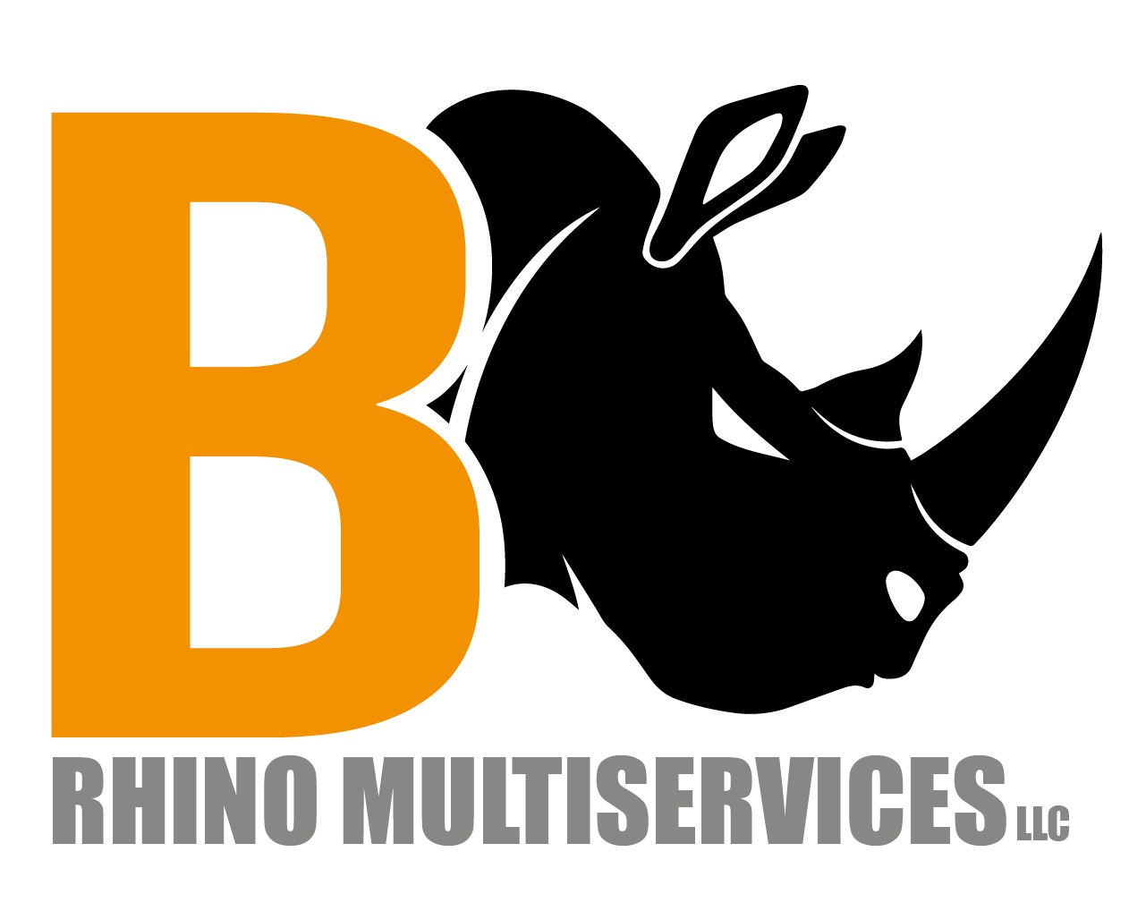 Logo for B-rhino multiservices llc