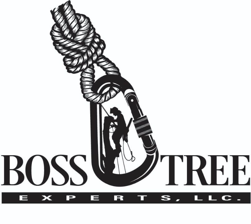 Avatar for Boss Tree Experts