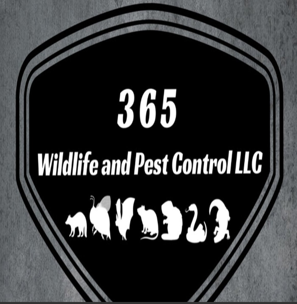 365 Wildlife and Pest Control LLC logo
