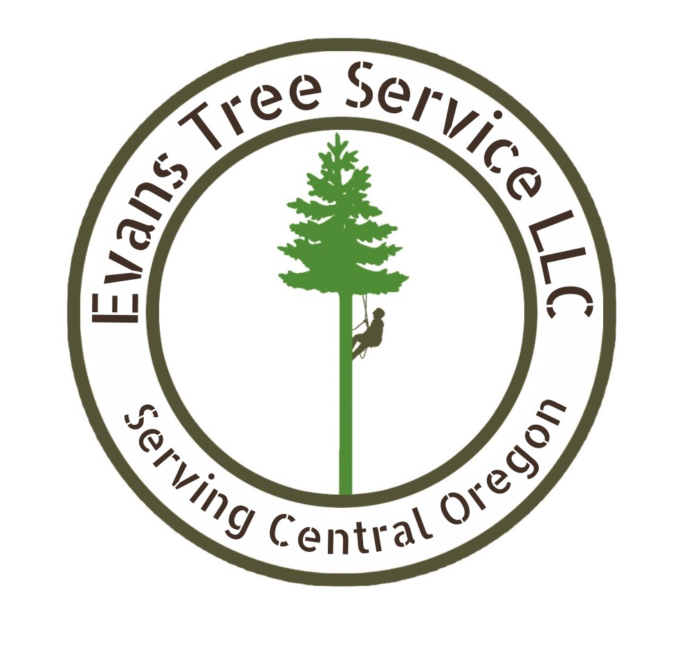 Evans Tree Service LLC logo
