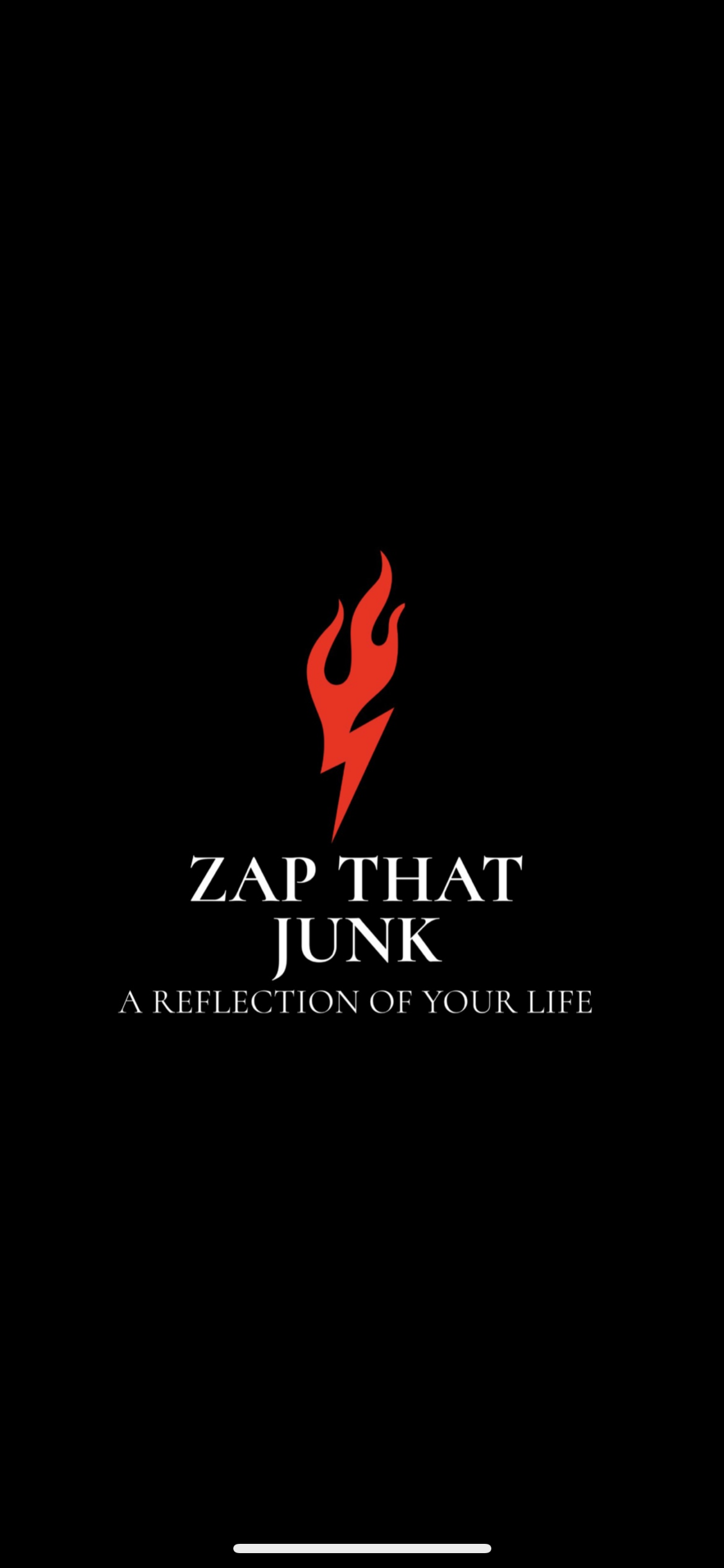 Avatar for ZAP THAT JUNK LLC