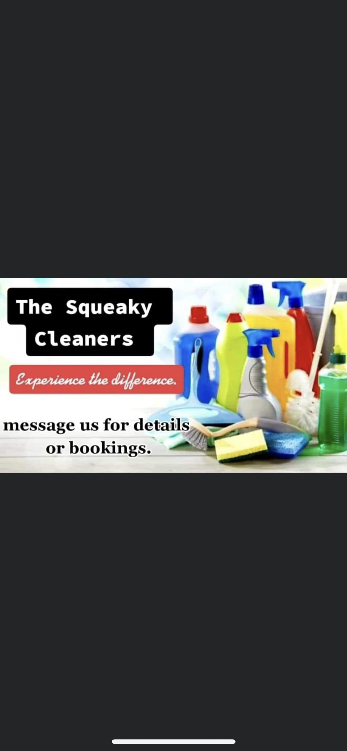 Squeaky cleaners logo