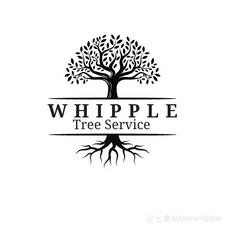 Avatar for Whipple Tree Service, LLC
