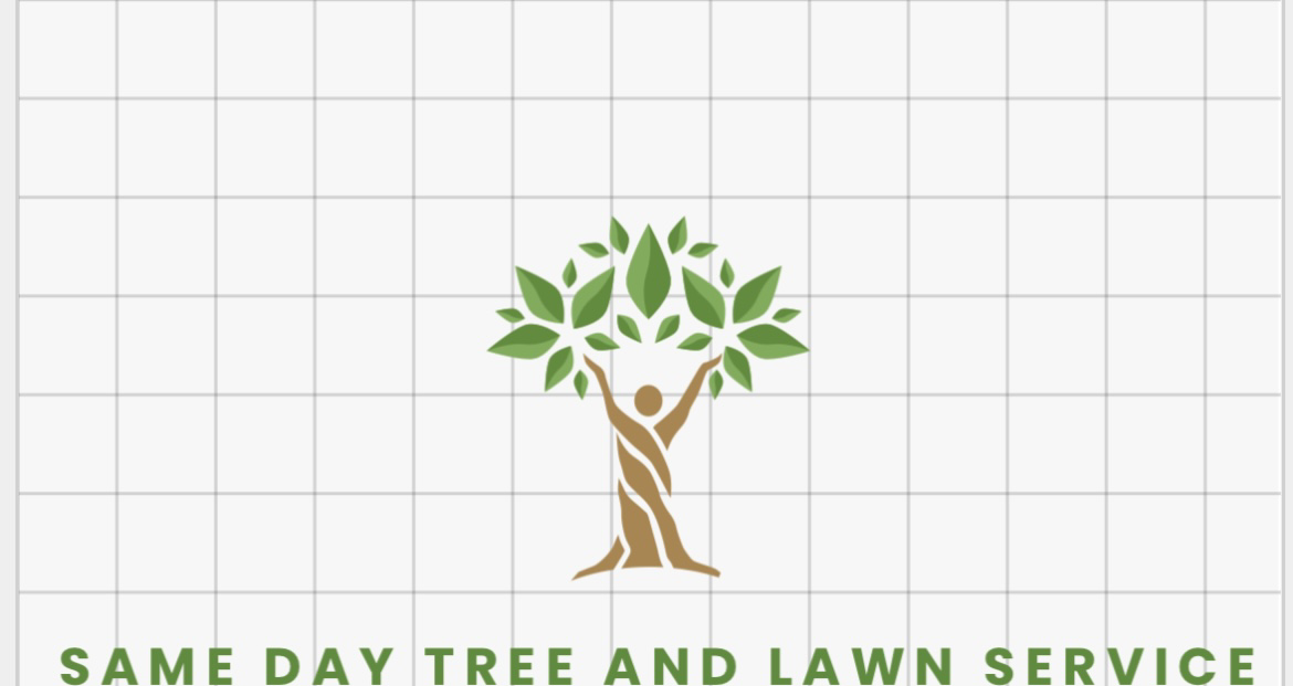 Avatar for Same Day Tree And Lawn Service