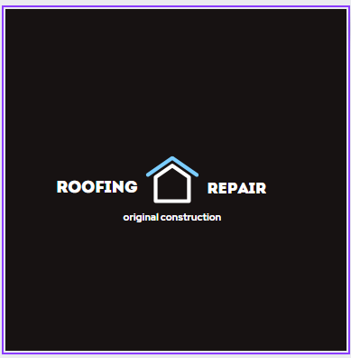 Logo for USA Original Construction