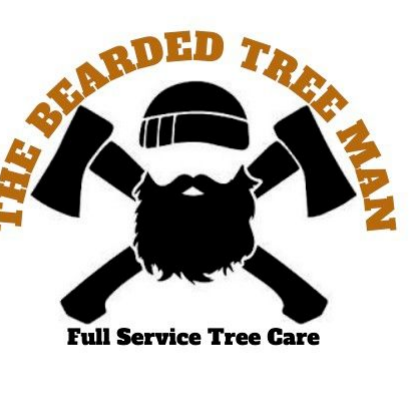 Avatar for The Bearded Tree Man