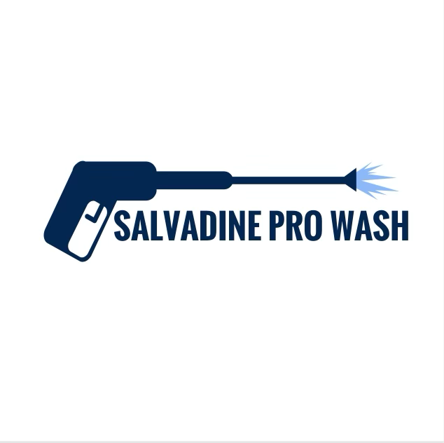 Avatar for Salvadine Pro Wash