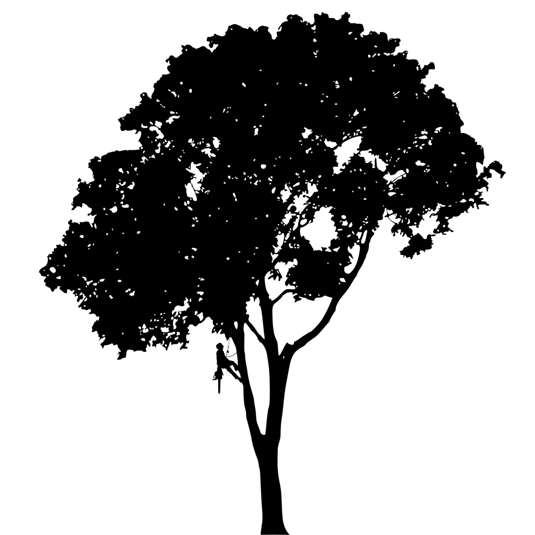 Avatar for Overgrown Tree Care, LLC