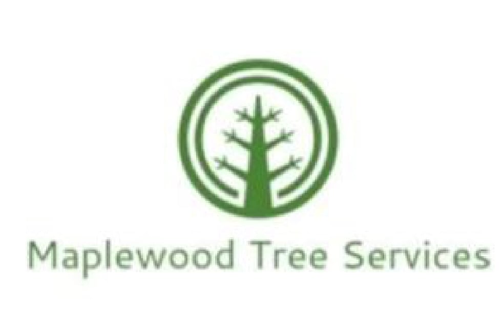 Avatar for Maplewood Tree services
