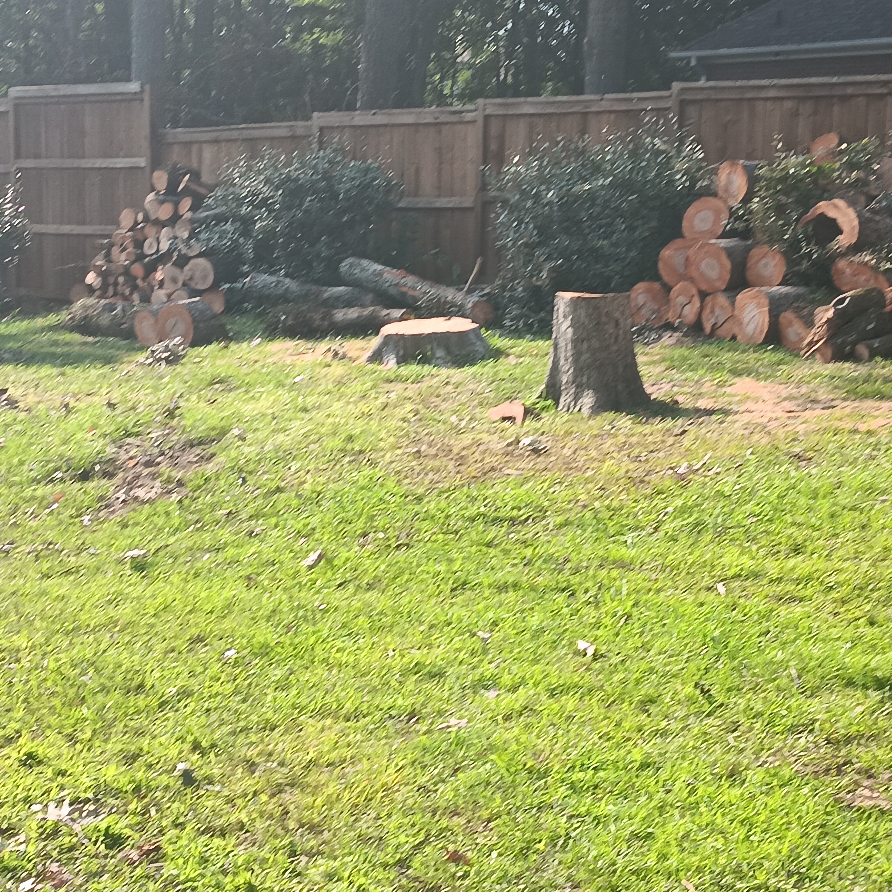 Avatar for Get It Done Tree Services